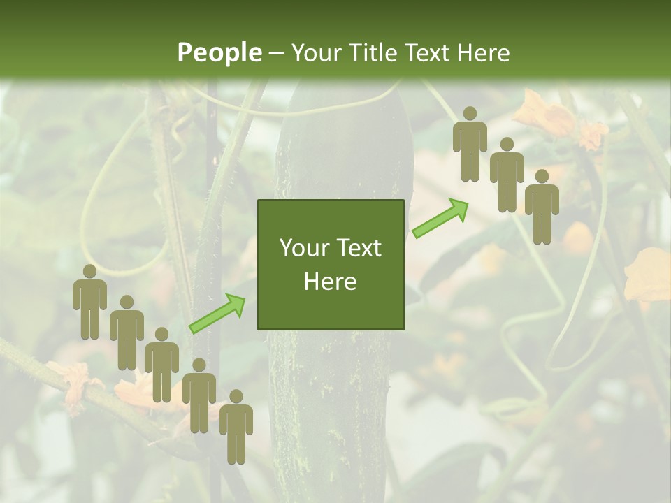 New Cultivated Fresh PowerPoint Template