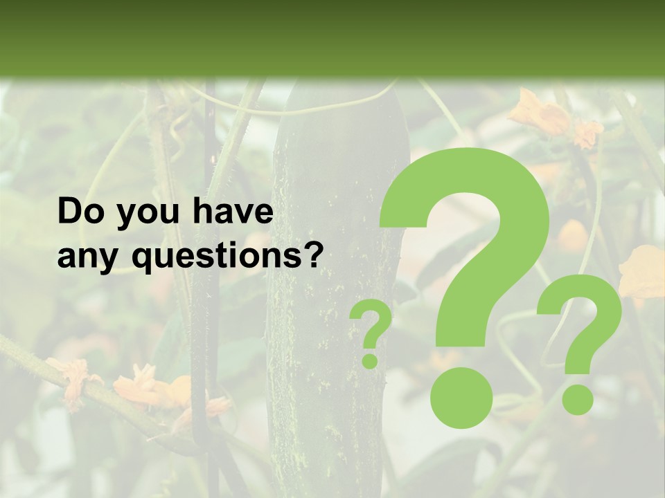 New Cultivated Fresh PowerPoint Template