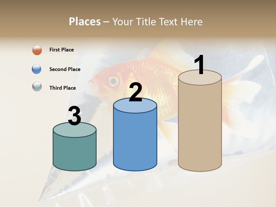 Crossbones Swashbuckler Outlaw PowerPoint Template