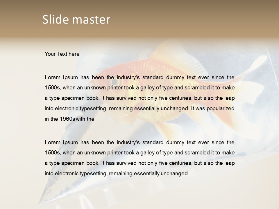 Crossbones Swashbuckler Outlaw PowerPoint Template