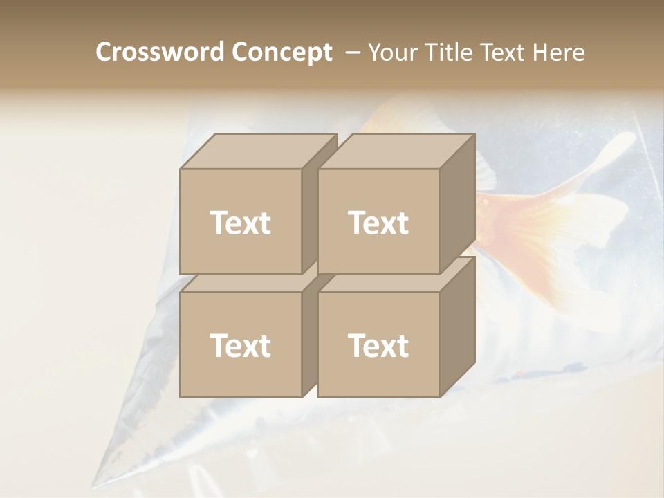 Crossbones Swashbuckler Outlaw PowerPoint Template
