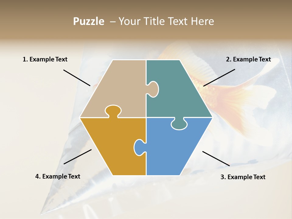 Crossbones Swashbuckler Outlaw PowerPoint Template