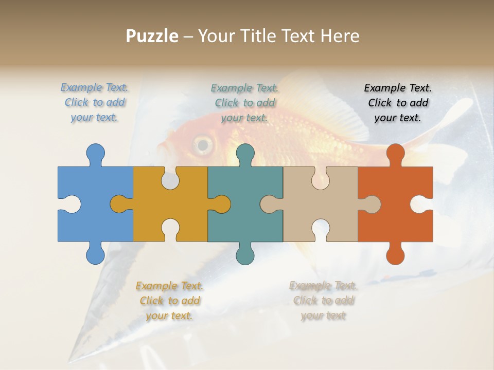 Crossbones Swashbuckler Outlaw PowerPoint Template