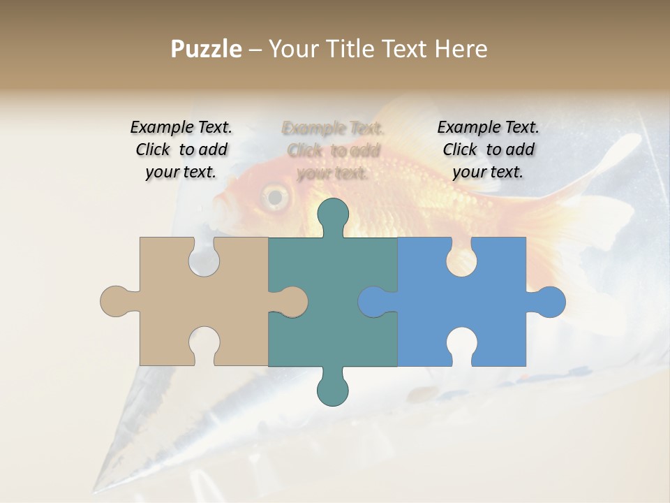 Crossbones Swashbuckler Outlaw PowerPoint Template