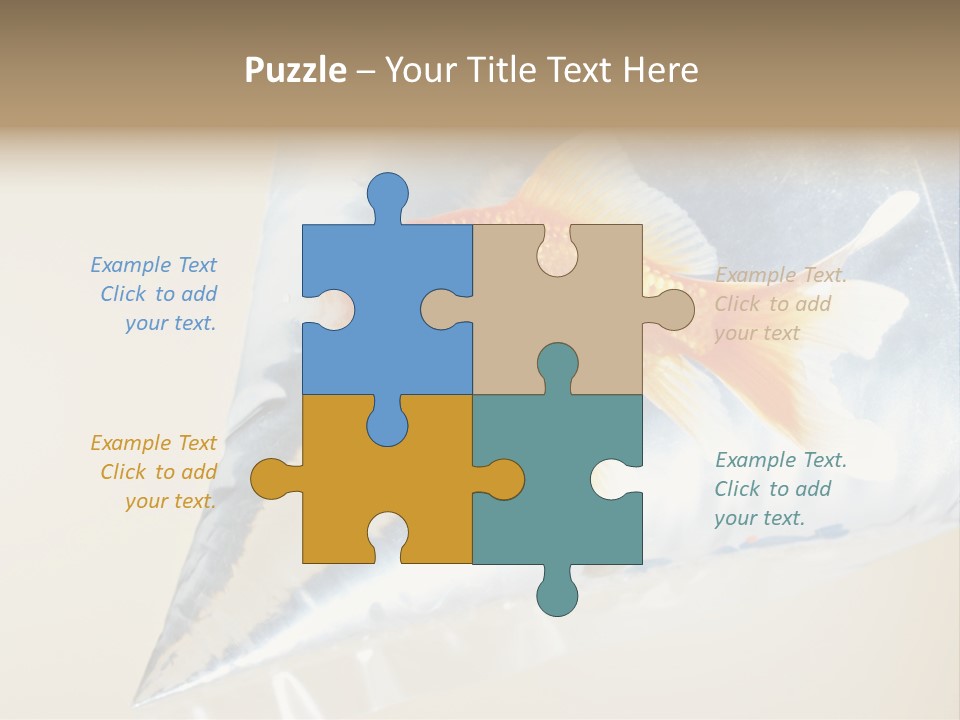 Crossbones Swashbuckler Outlaw PowerPoint Template