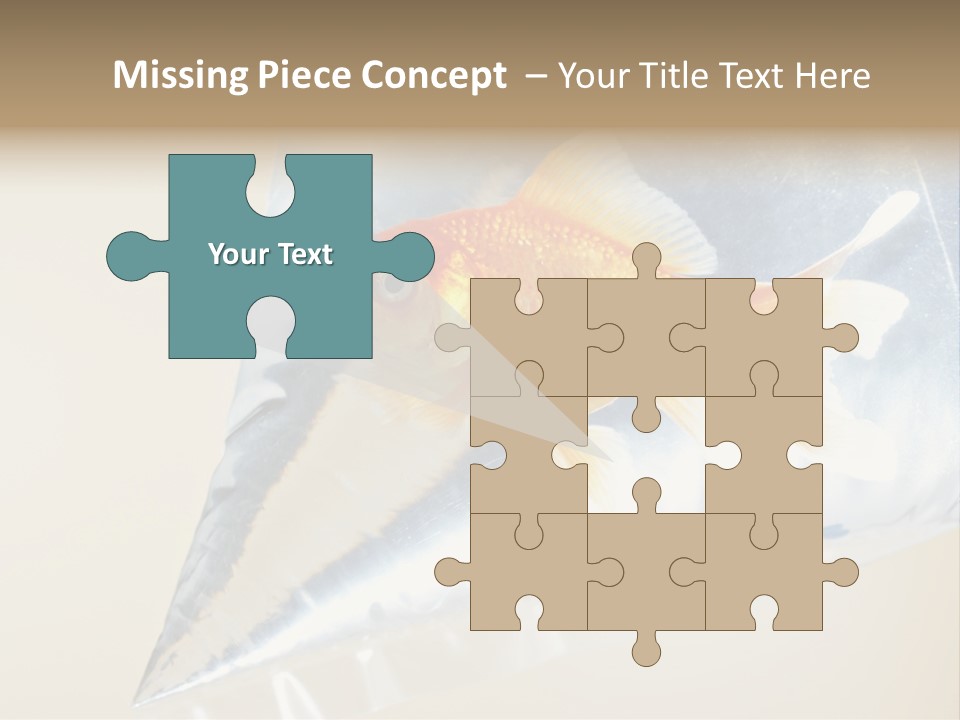 Crossbones Swashbuckler Outlaw PowerPoint Template