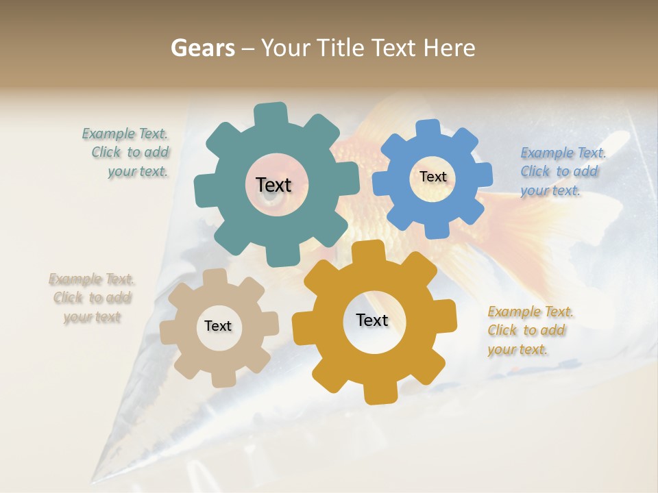 Crossbones Swashbuckler Outlaw PowerPoint Template