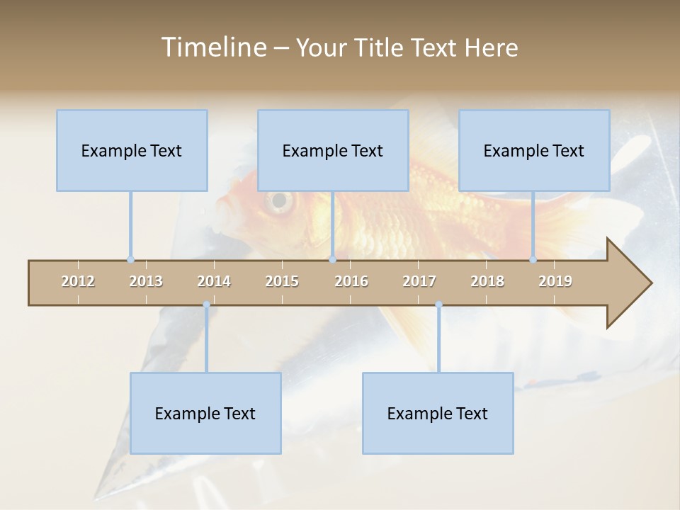 Crossbones Swashbuckler Outlaw PowerPoint Template