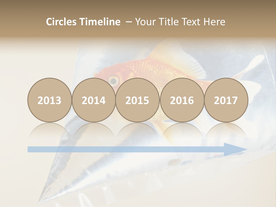 Crossbones Swashbuckler Outlaw PowerPoint Template