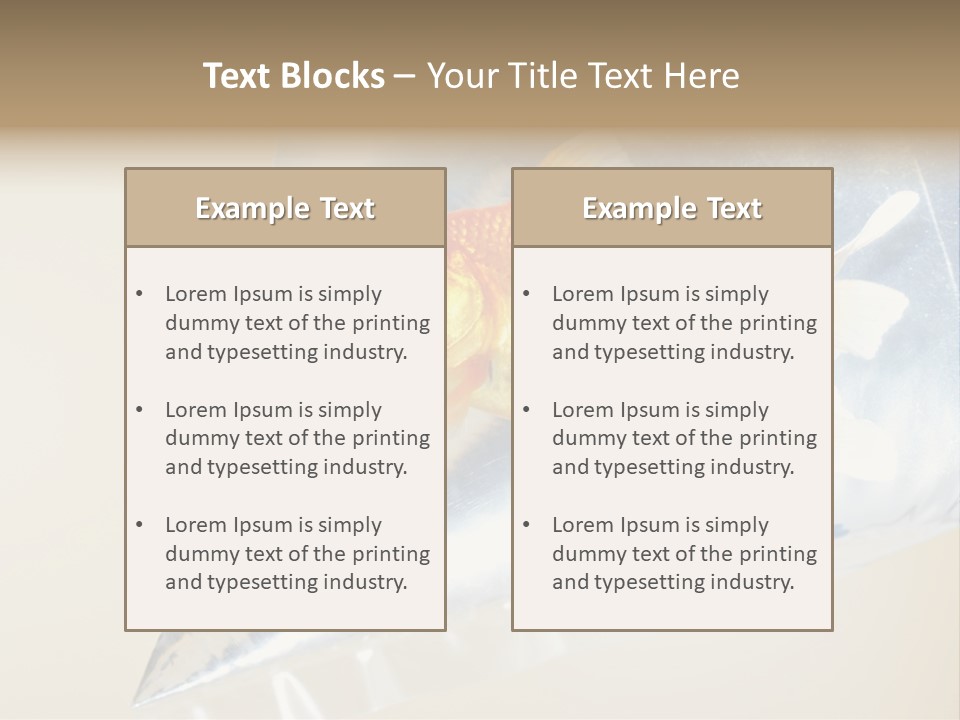 Crossbones Swashbuckler Outlaw PowerPoint Template