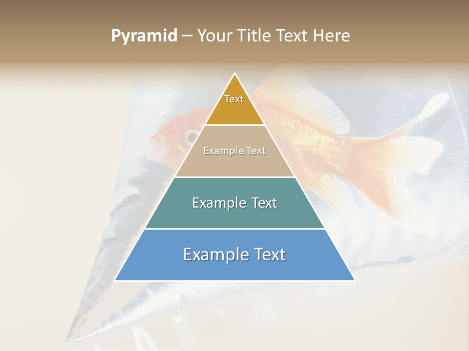 Crossbones Swashbuckler Outlaw PowerPoint Template