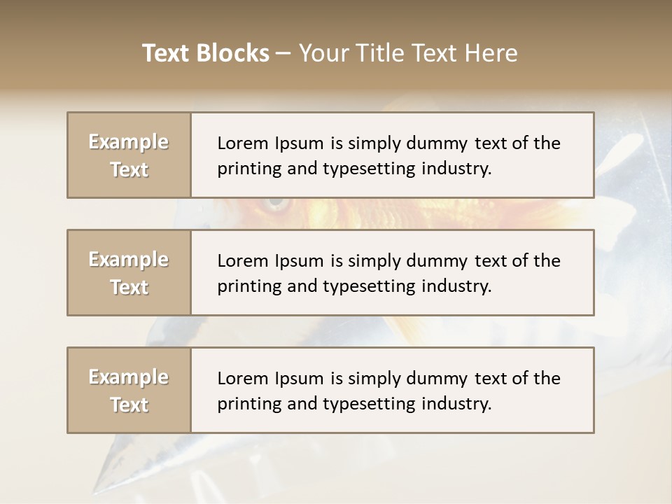 Crossbones Swashbuckler Outlaw PowerPoint Template