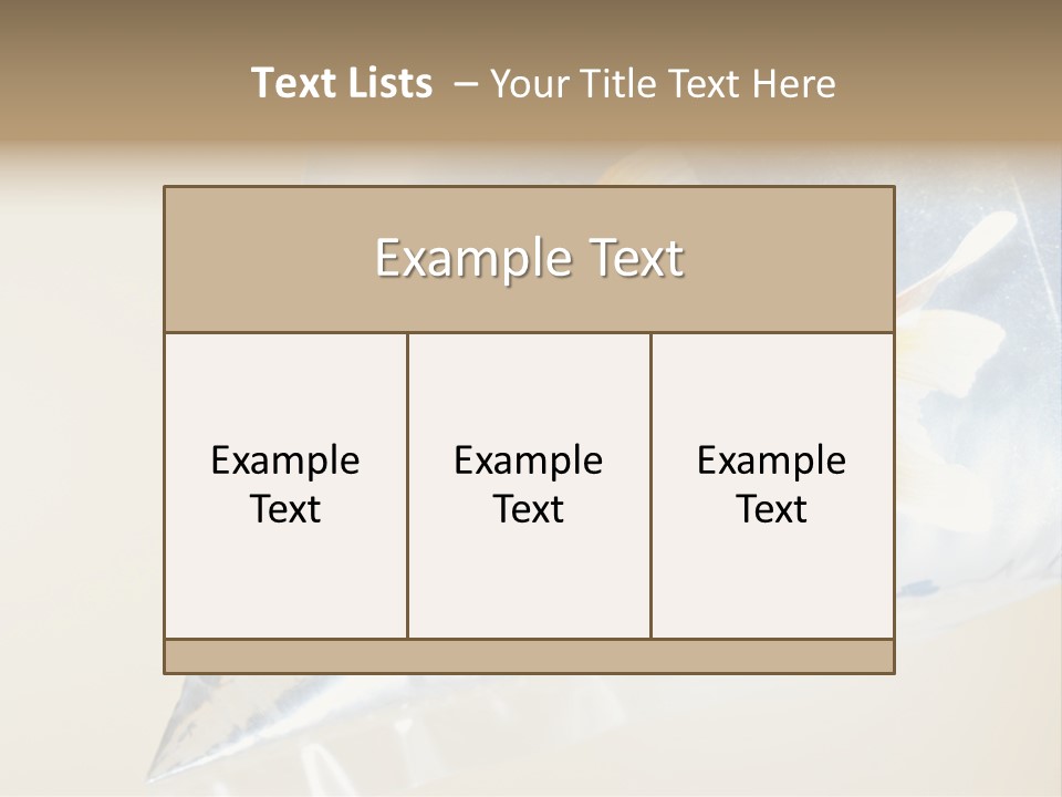 Crossbones Swashbuckler Outlaw PowerPoint Template