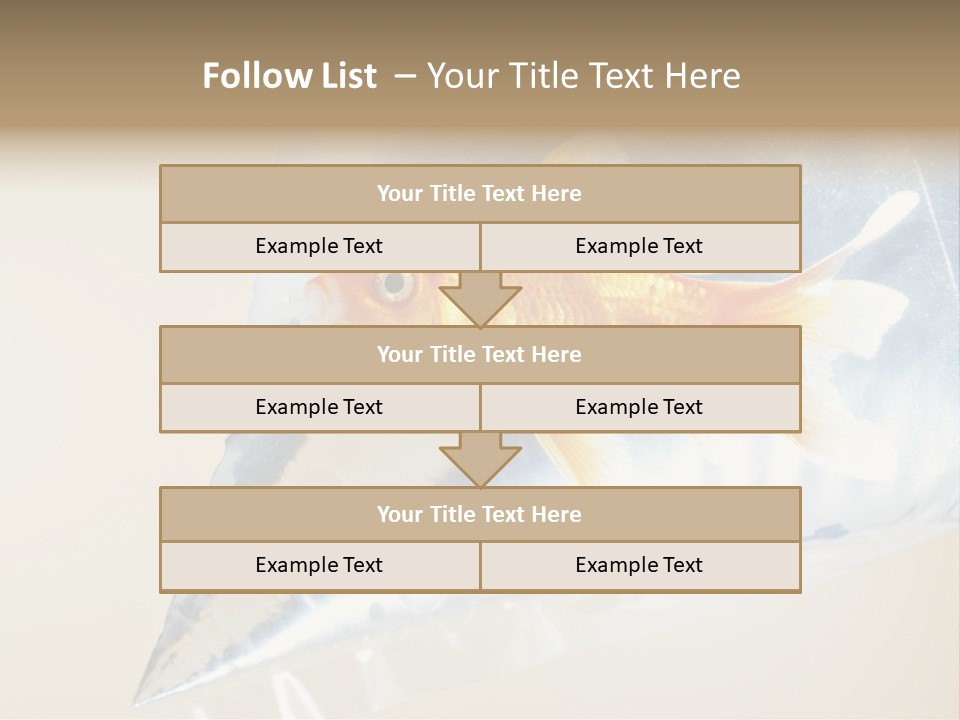 Crossbones Swashbuckler Outlaw PowerPoint Template