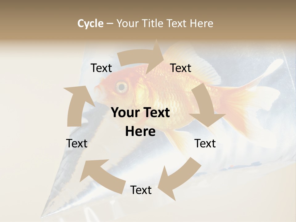 Crossbones Swashbuckler Outlaw PowerPoint Template