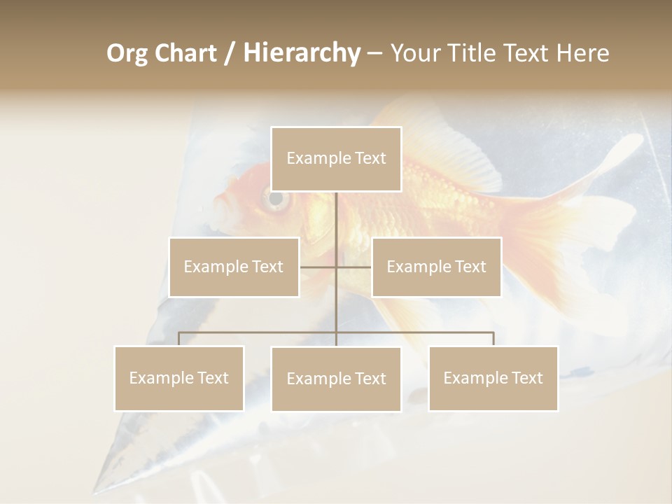 Crossbones Swashbuckler Outlaw PowerPoint Template