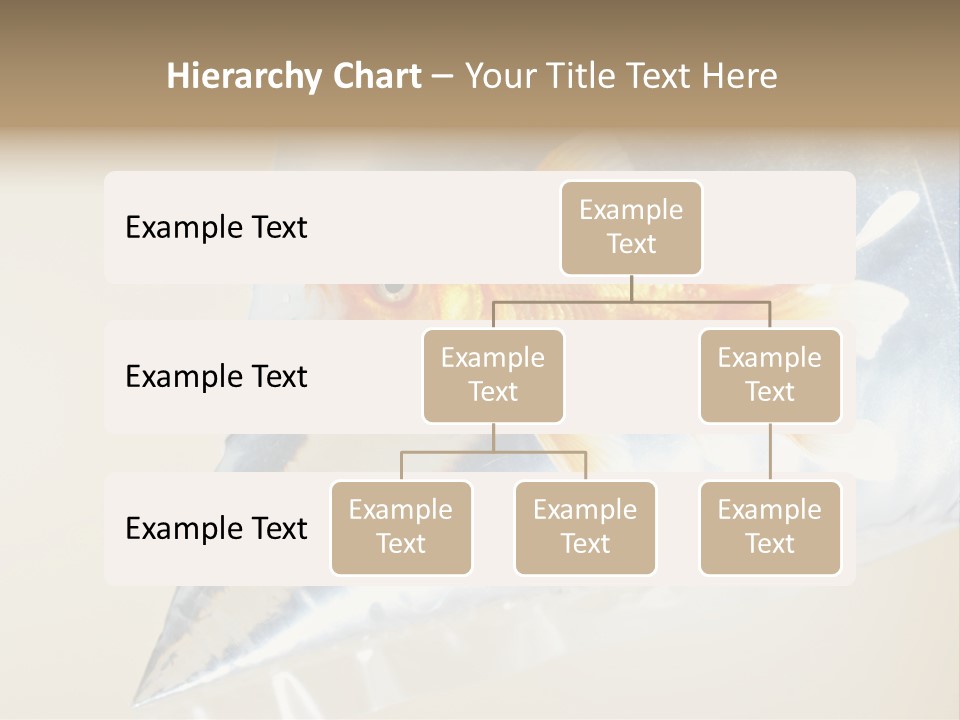 Crossbones Swashbuckler Outlaw PowerPoint Template