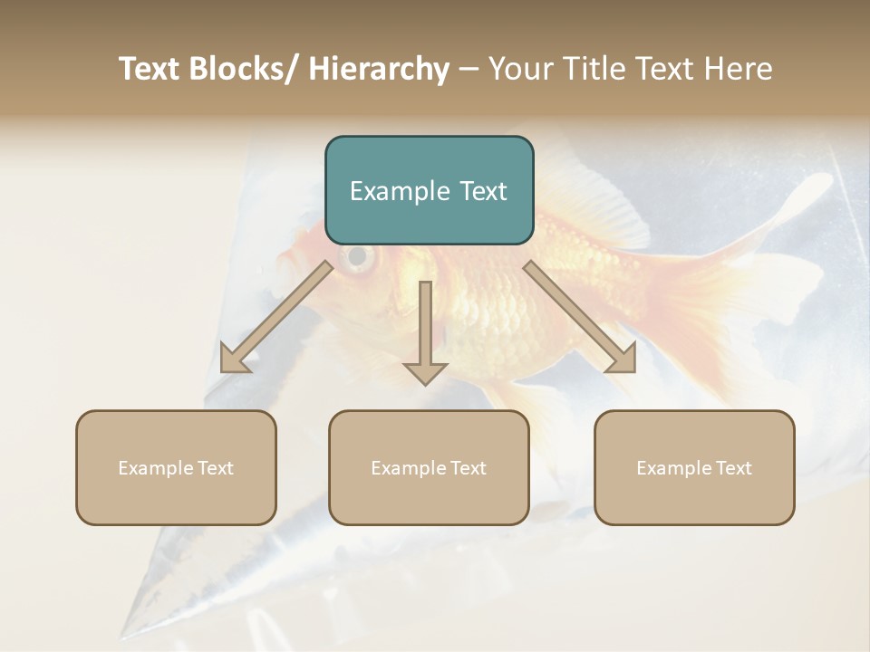 Crossbones Swashbuckler Outlaw PowerPoint Template