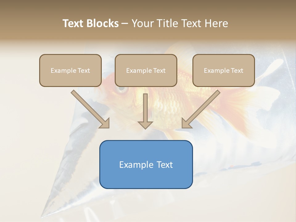 Crossbones Swashbuckler Outlaw PowerPoint Template