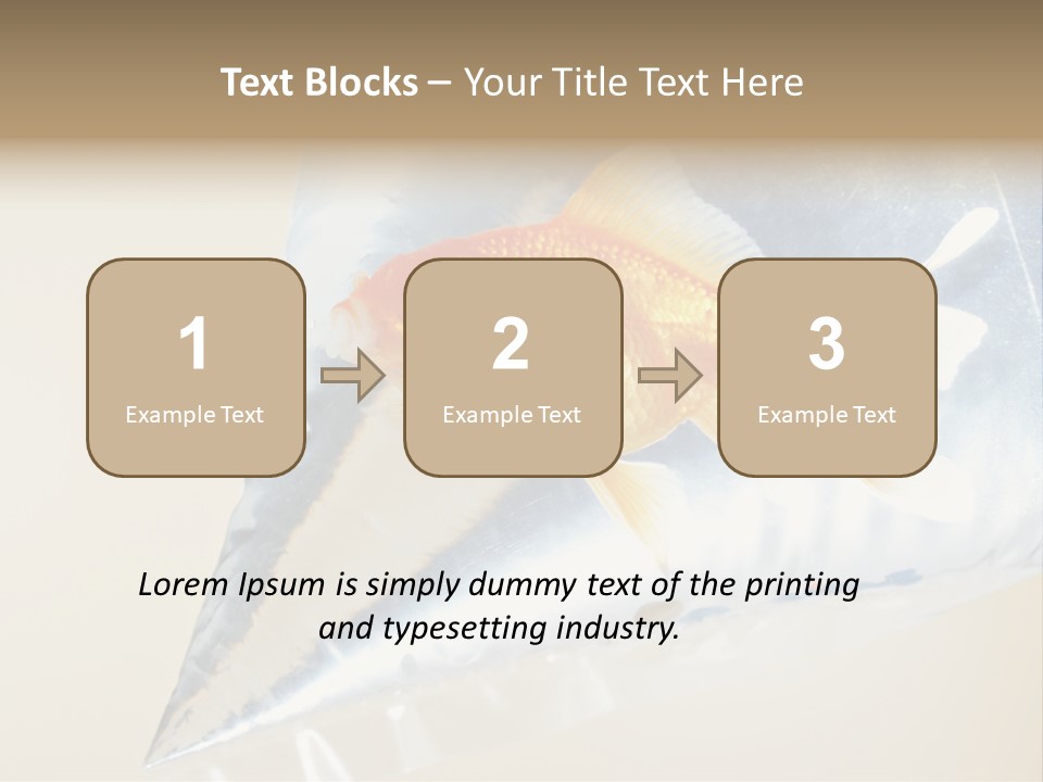 Crossbones Swashbuckler Outlaw PowerPoint Template