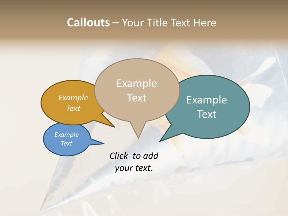 Crossbones Swashbuckler Outlaw PowerPoint Template