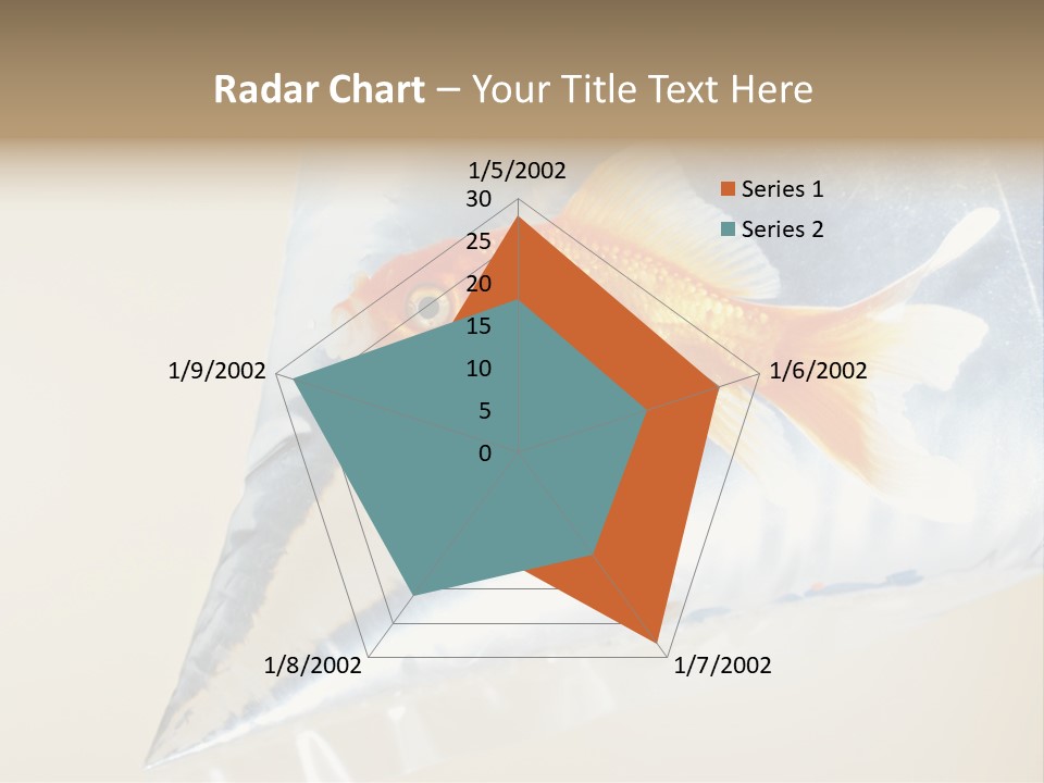 Crossbones Swashbuckler Outlaw PowerPoint Template