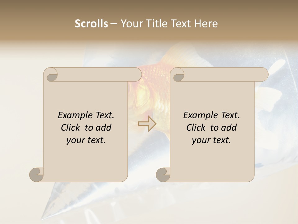 Crossbones Swashbuckler Outlaw PowerPoint Template