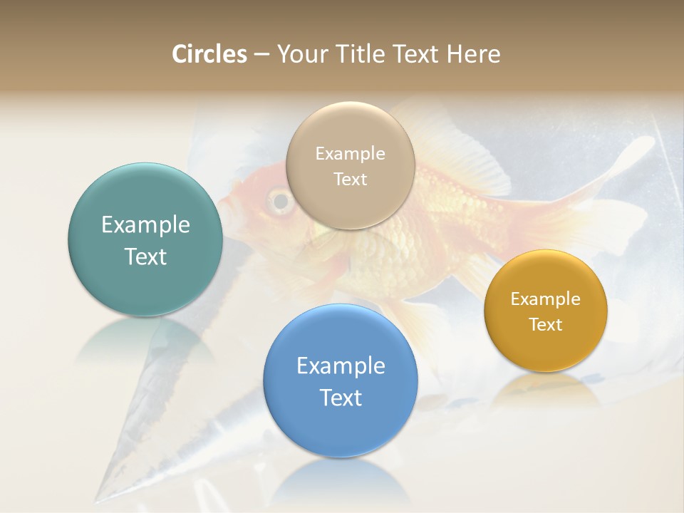 Crossbones Swashbuckler Outlaw PowerPoint Template