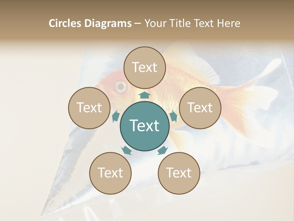 Crossbones Swashbuckler Outlaw PowerPoint Template