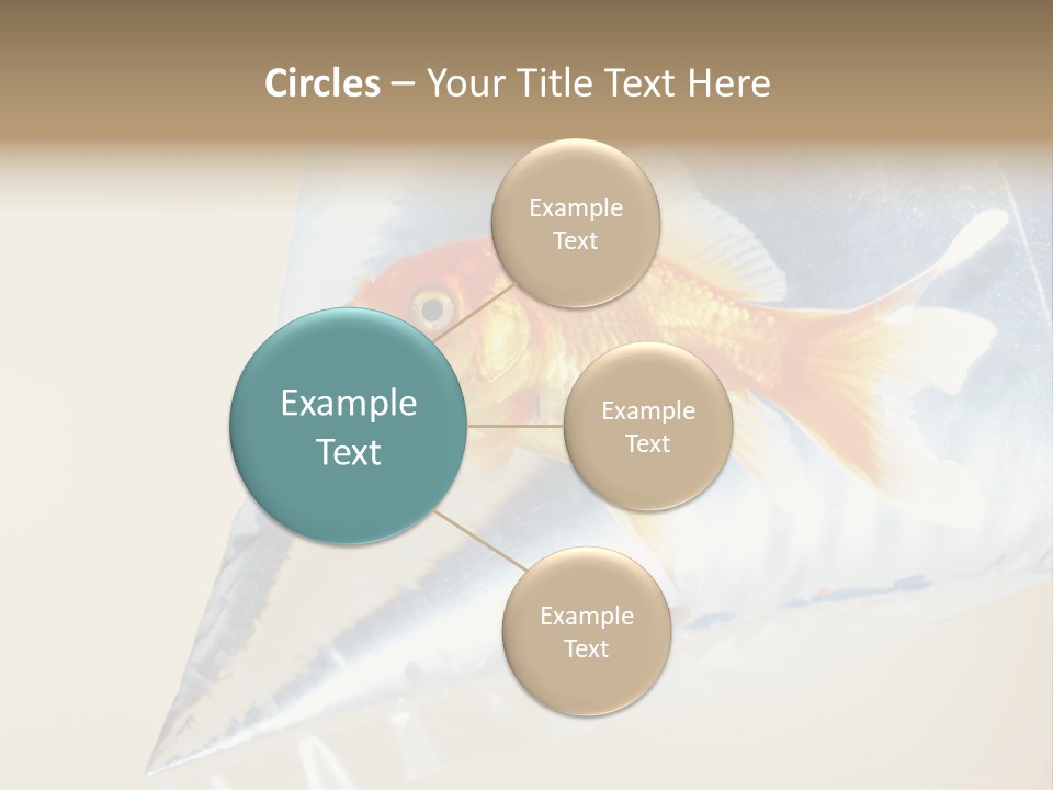 Crossbones Swashbuckler Outlaw PowerPoint Template