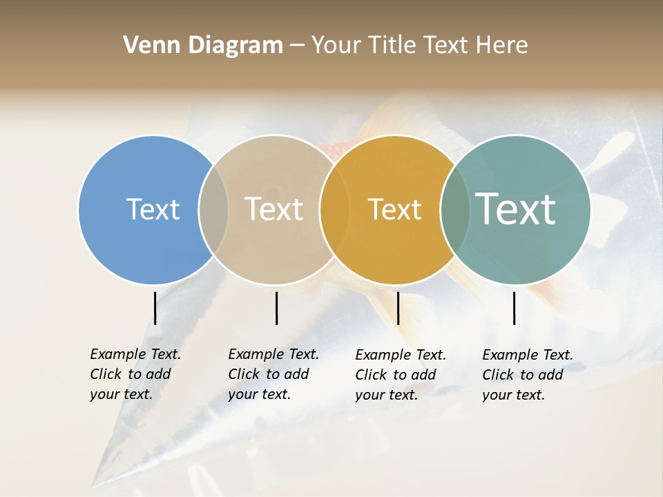 Crossbones Swashbuckler Outlaw PowerPoint Template