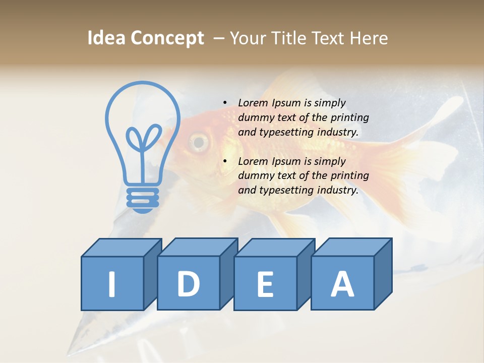 Crossbones Swashbuckler Outlaw PowerPoint Template