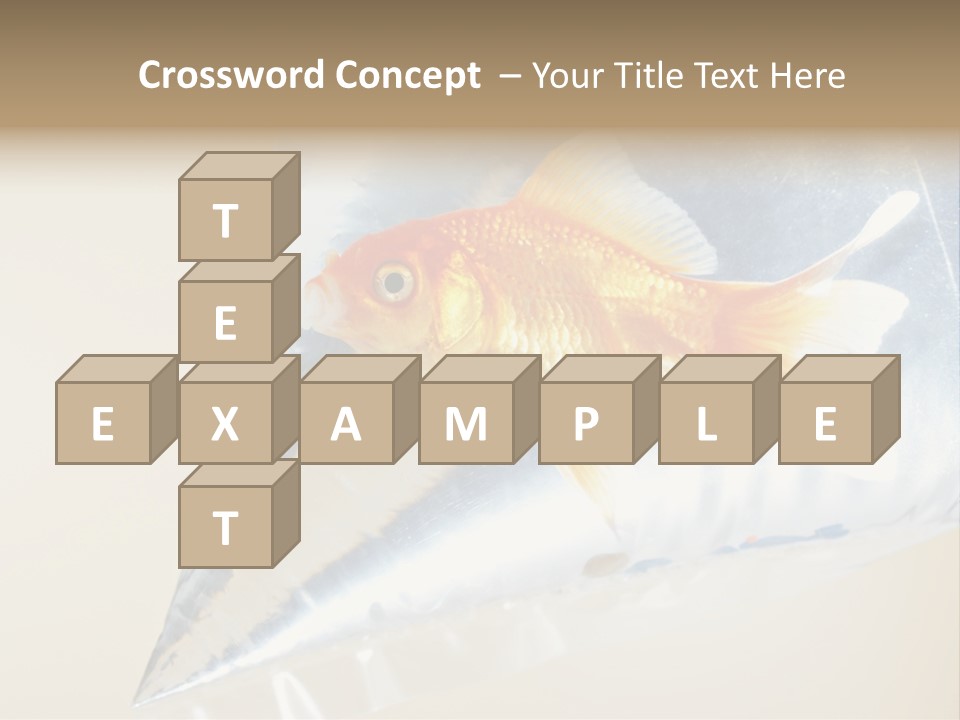 Crossbones Swashbuckler Outlaw PowerPoint Template