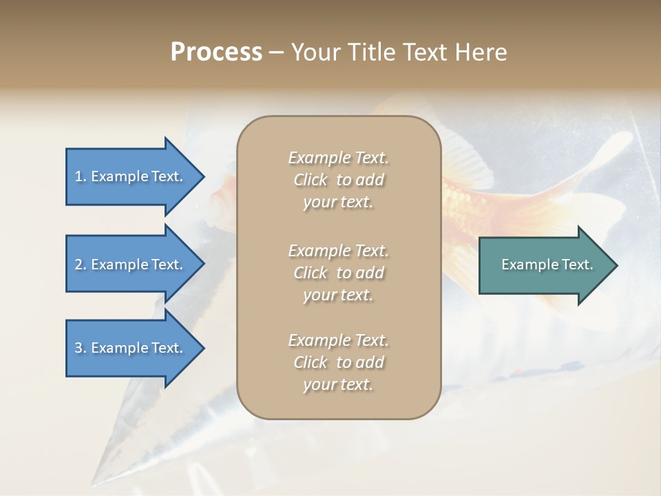 Crossbones Swashbuckler Outlaw PowerPoint Template