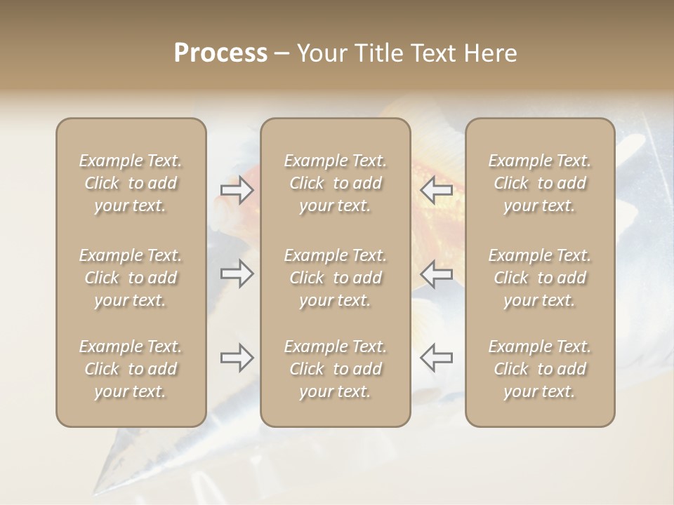 Crossbones Swashbuckler Outlaw PowerPoint Template