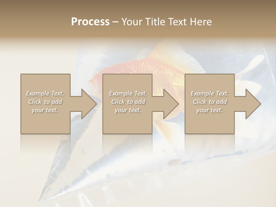 Crossbones Swashbuckler Outlaw PowerPoint Template