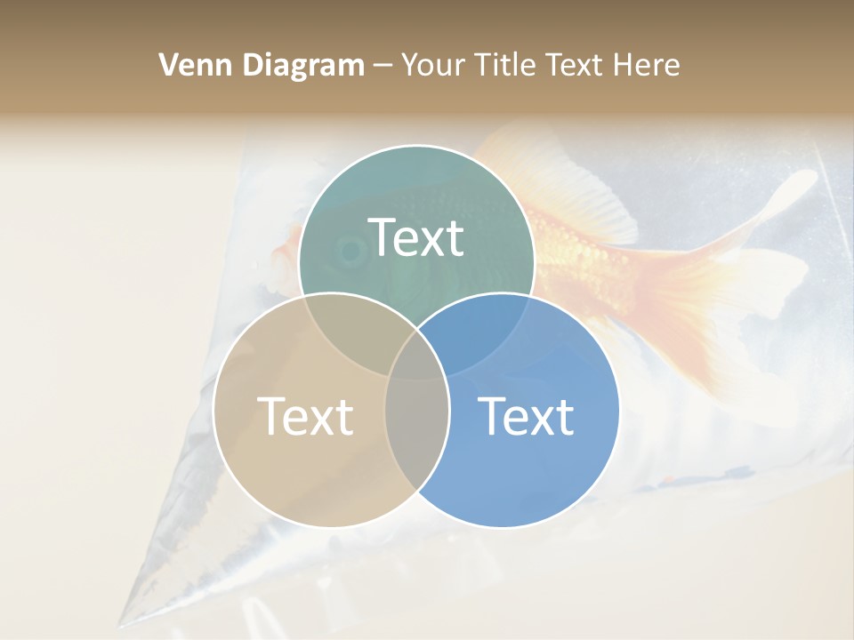 Crossbones Swashbuckler Outlaw PowerPoint Template