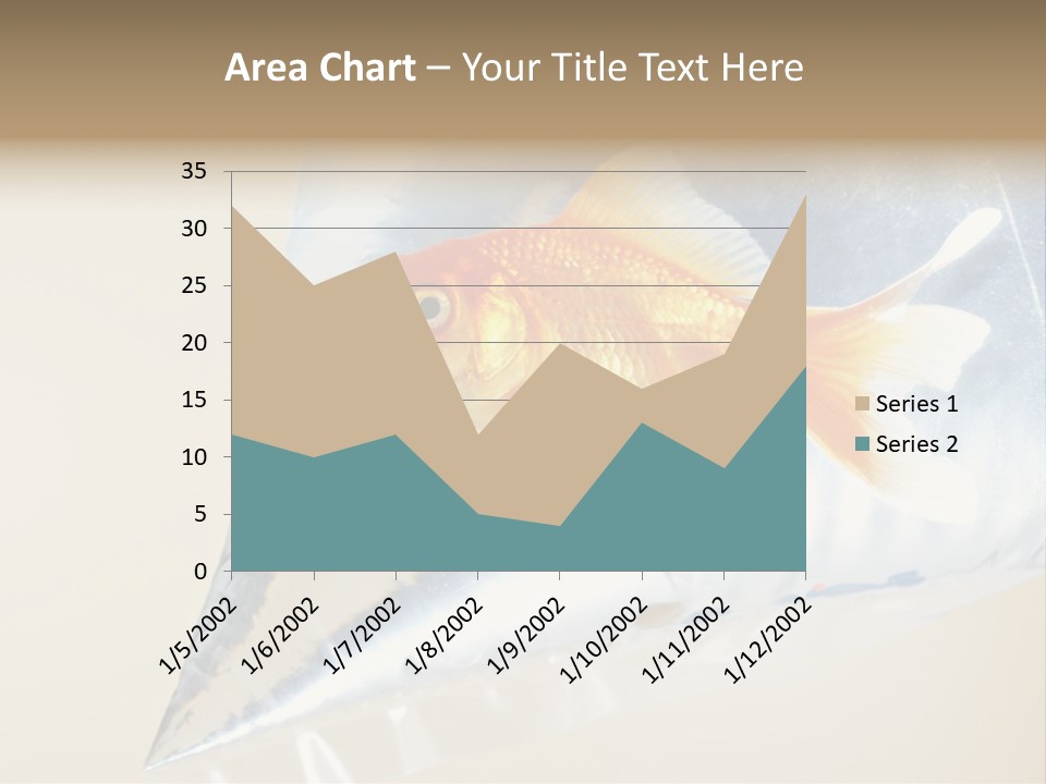 Crossbones Swashbuckler Outlaw PowerPoint Template
