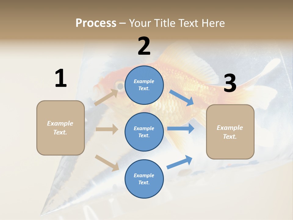 Crossbones Swashbuckler Outlaw PowerPoint Template
