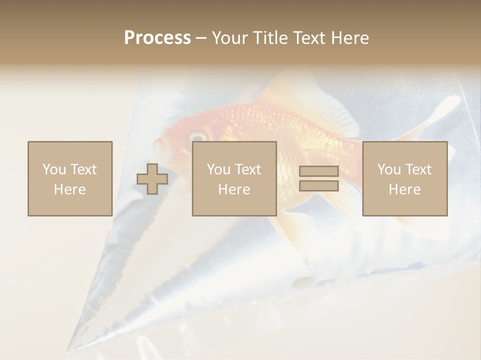 Crossbones Swashbuckler Outlaw PowerPoint Template
