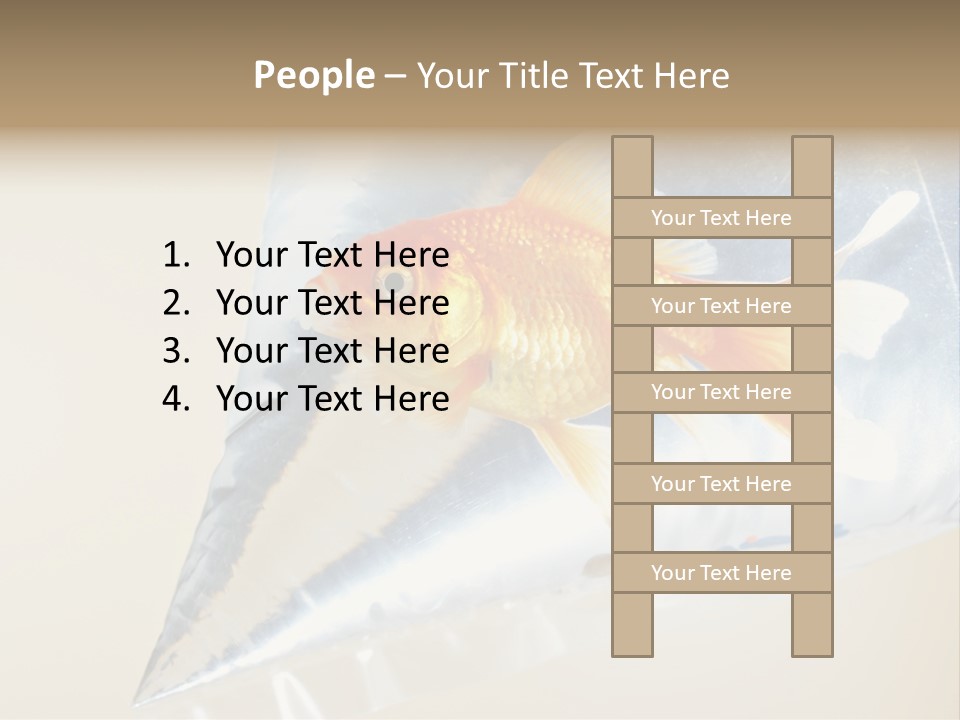 Crossbones Swashbuckler Outlaw PowerPoint Template