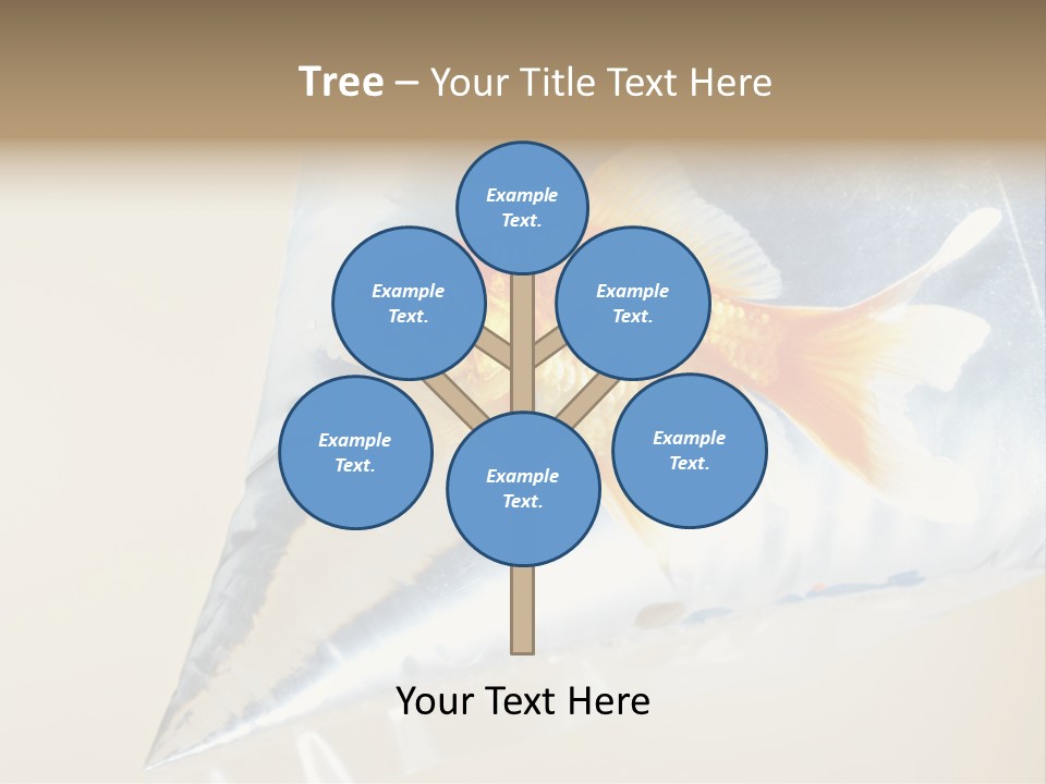 Crossbones Swashbuckler Outlaw PowerPoint Template