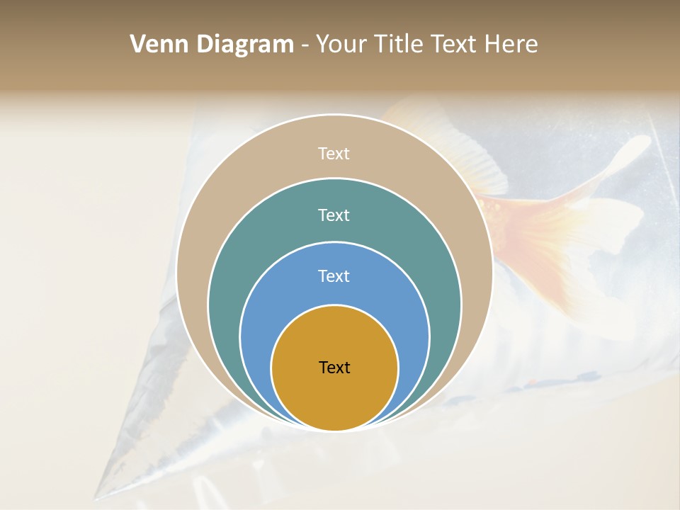 Crossbones Swashbuckler Outlaw PowerPoint Template