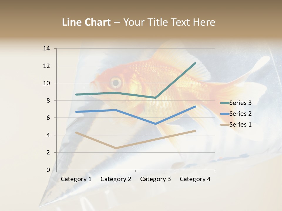 Crossbones Swashbuckler Outlaw PowerPoint Template