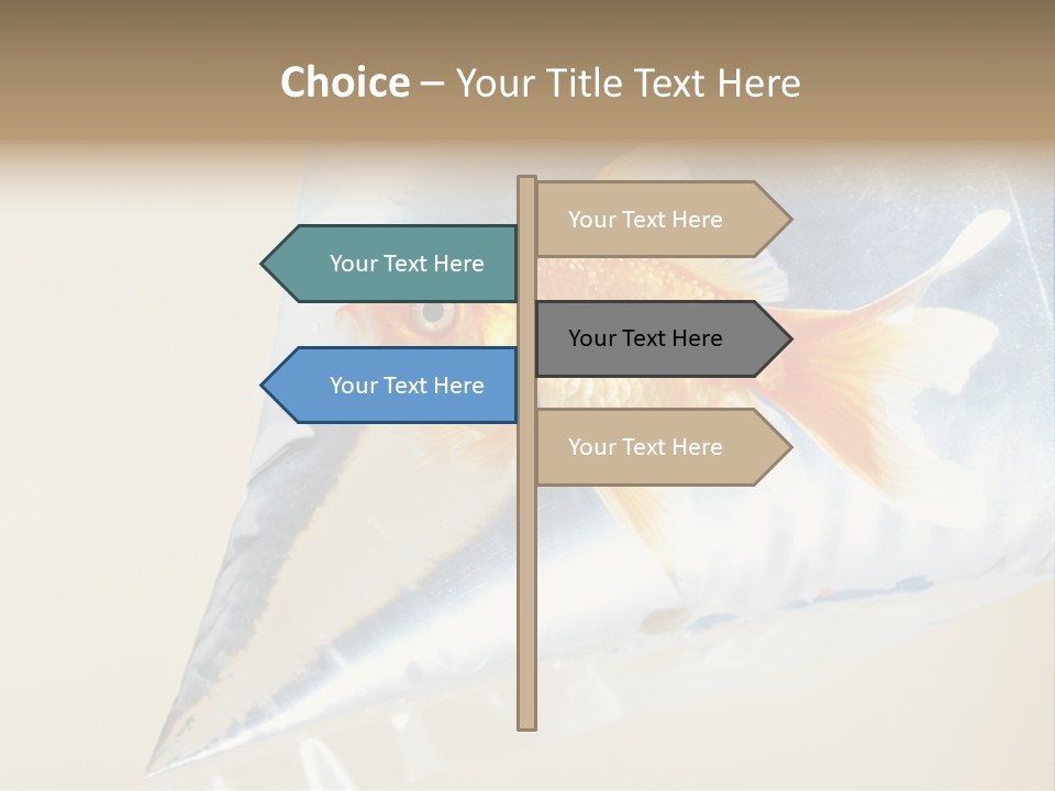 Crossbones Swashbuckler Outlaw PowerPoint Template