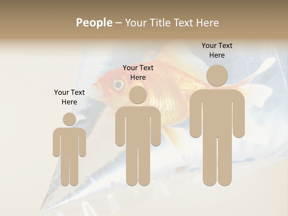 Crossbones Swashbuckler Outlaw PowerPoint Template