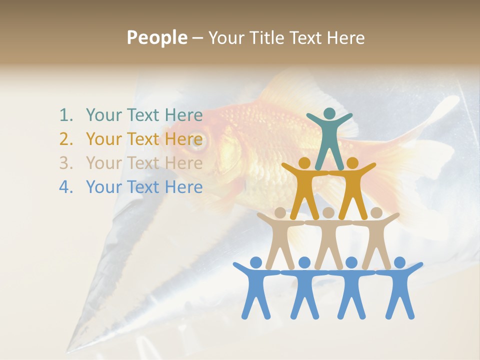 Crossbones Swashbuckler Outlaw PowerPoint Template