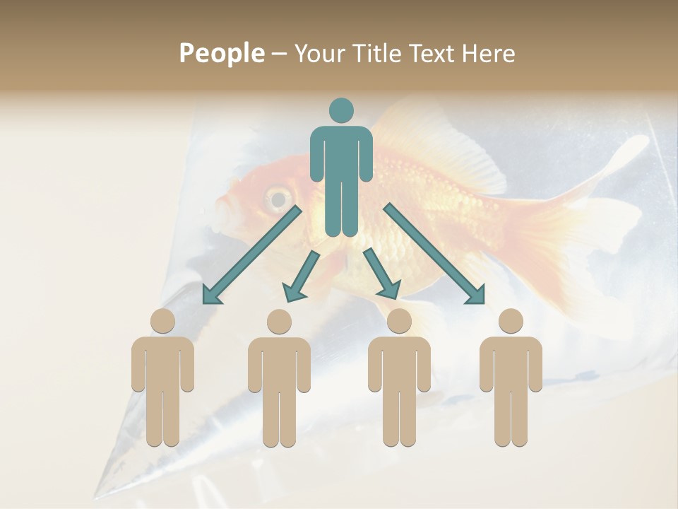 Crossbones Swashbuckler Outlaw PowerPoint Template