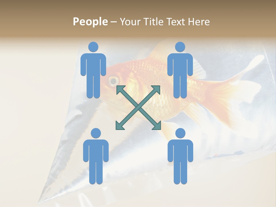 Crossbones Swashbuckler Outlaw PowerPoint Template