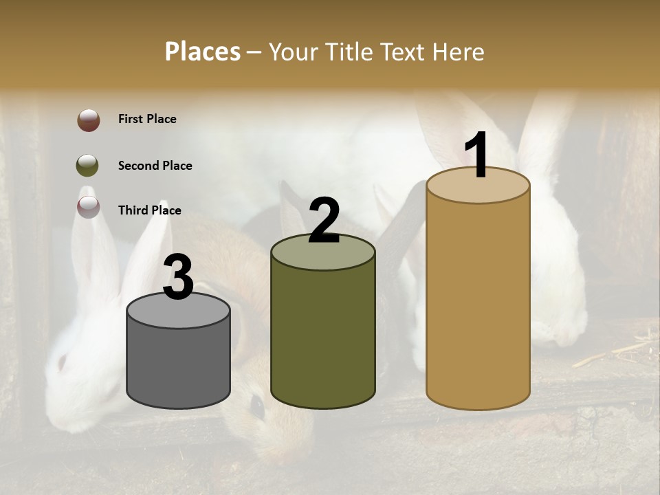Inside Seasonal Young PowerPoint Template